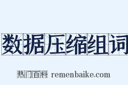 数据压缩组词是什么意思的图片